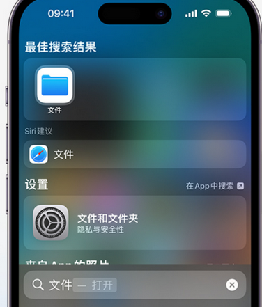 固安apple维修中心分享iPhone文件应用中存储和找到下载文件 