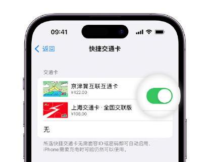 固安apple维修点分享iPhone上更换Apple Pay快捷交通卡手绘卡面 