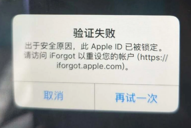 固安iPhone维修分享iPhone上正常登录或使用AppleID怎么办 