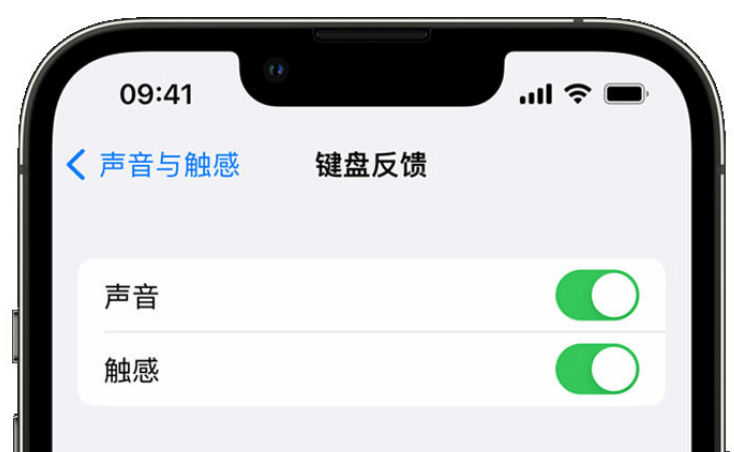 固安苹果手机维修分享iPhone 14触感键盘使用方法 