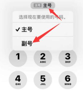 固安苹果14维修店分享iPhone 14 Pro Max使用副卡打电话的方法 