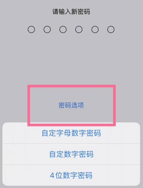 固安苹果14维修分享iPhone 14plus设置密码的方法 