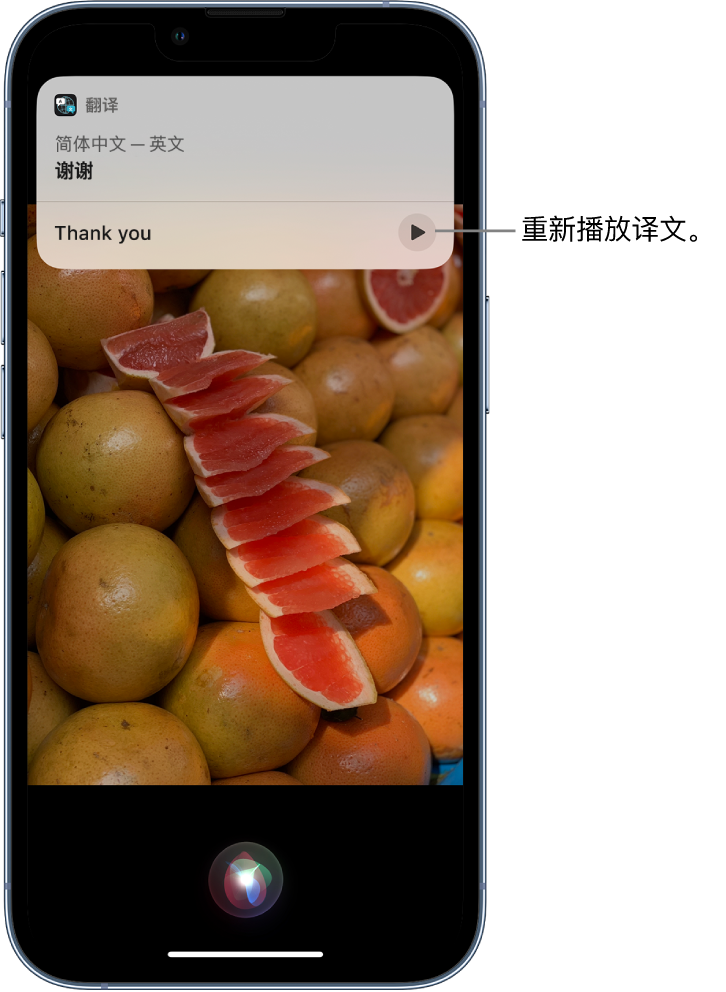 固安苹果14维修分享 iPhone 14 机型中使用 Siri：了解 Siri 能帮你做什么 