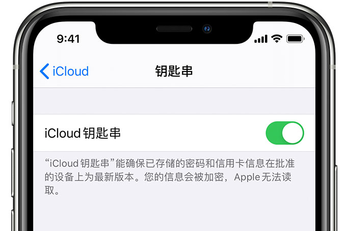 固安苹果手机维修分享在 iPhone 上开启 iCloud 钥匙串之后会储存哪些信息 