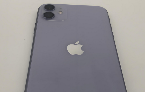 固安苹果11系统维修分享iPhone11手机系统崩溃无法开机如何解决 