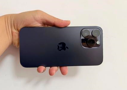 固安苹果维修点分享iPhone 14 Pro Max黑屏少见故障盘点 